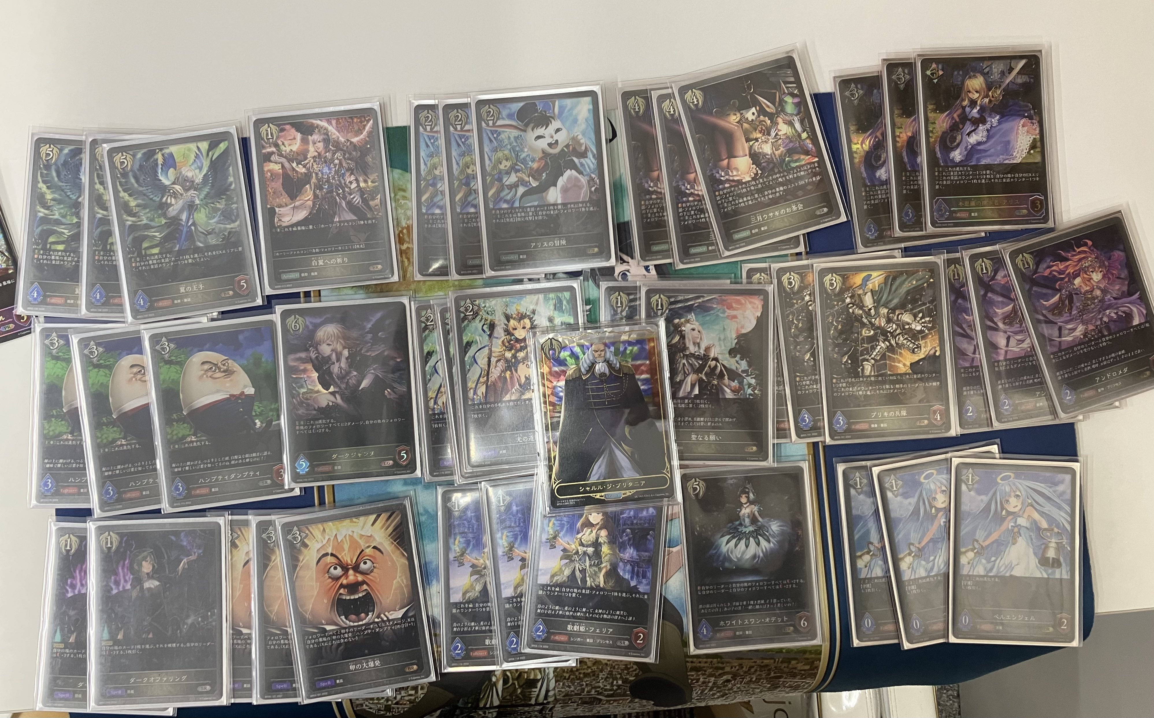 Card Shop SAISAI (Week 5) list